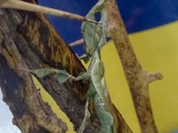 Haus des Meeres 13.03.2026